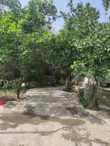 تصویر 9 - ویلا خاله زهرا در  رامسر