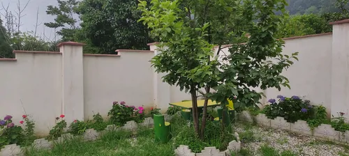 تصویر 8 - کلبه کارن در رامسر