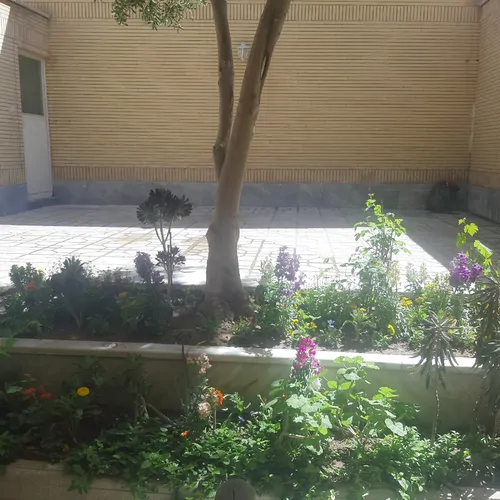تصویر 11 - خانه زیتون  در  اصفهان