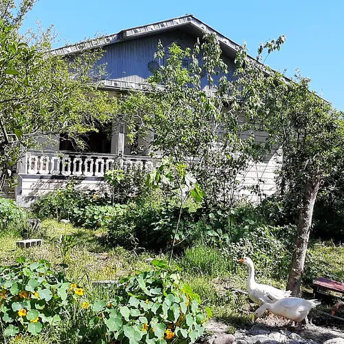 تصویر 22 - ویلا جنگلی پارسا در  ماسال