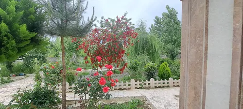 تصویر 13 - ویلا استخردار آبگرم سرپوشیده مهدیس در  تالش