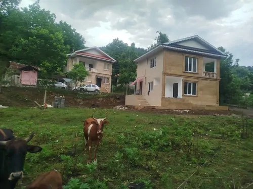 جنگلی دلیلی (2)