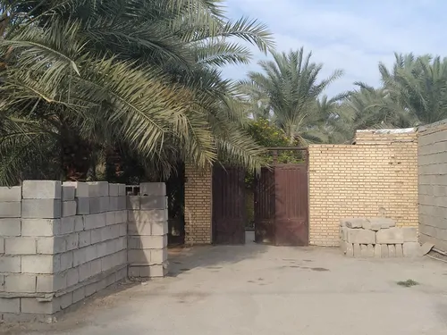 تصویر 15 - ویلا دریس در  آبادان