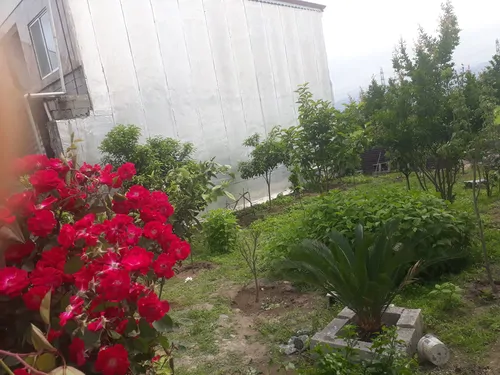 تصویر 16 - ویلا ساحلی غریبی در  پره‌سر