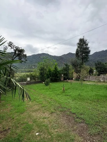 تصویر 16 - ویلا جنگلی محمد ورمیه در ماسال