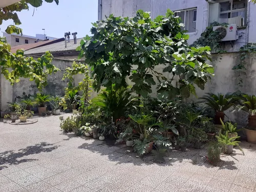 تصویر 15 - آپارتمان همای گیلان (واحد ۲) در رشت
