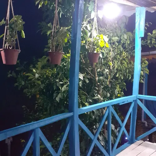 تصویر 3 - کلبه اقامتگاه بوگردی دهدار  در لنگرود