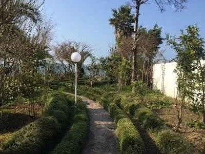تصویر 5 - خانه اجاره ویلا ساحلی لب دریا پلاک 1 واقع در شهرک خصوصی  در  محمودآباد
