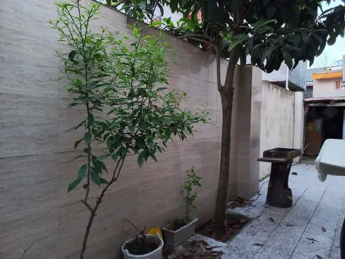 تصویر 20 - ویلا مبله بوستان منطقه آزاد در  انزلی