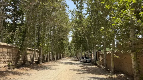 تصویر 16 - ویلا باغ استخردار آبگرم نويان اقدسيه با جکوزی در  چهارباغ