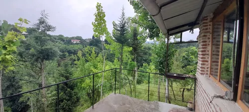 تصویر 26 - کلبه جنگلی دامون در  ساری