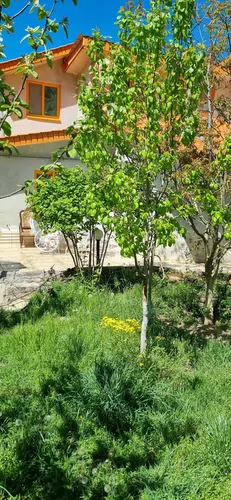 تصویر 5 - ویلا اقامتگاه سر محمدی در کندلوس