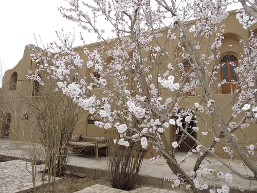 تصویر 3 - اقامتگاه بوم‌گردی خانه باغ صفا اتاق30 متری در آباده