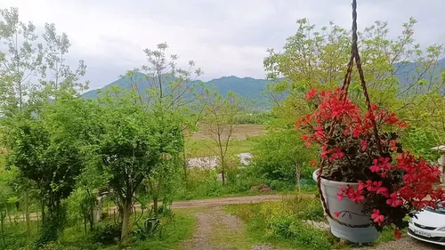 تصویر 3 - خانه ویلاسنتی یاس در ماسال