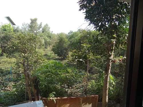 تصویر 11 - ویلا طبیعت در  کلاچای