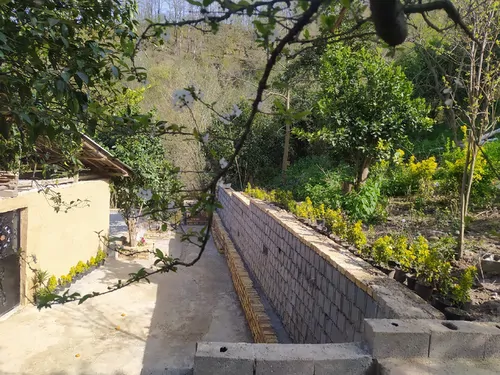 تصویر 8 - ویلا  سنتی با جکوزی در  رامسر