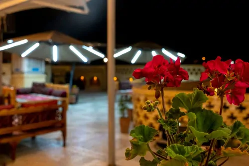 تصویر 16 - هتل سنتی نارنجستان (سه تخته vip) در  شیراز