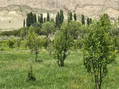 تصویر 16 - کلبه چوبی استخر آبگرم سانسی باران  در  فیروزکوه 