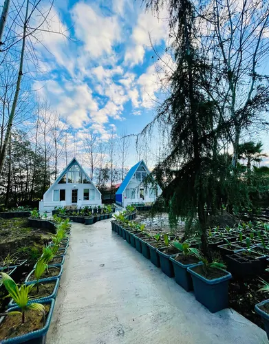 تصویر 8 - کلبه سوئیسی خوشدل در  رشت