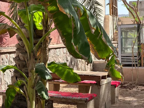 تصویر 42 - ویلا باغ استوایی عمارت چند درخت در هرمز