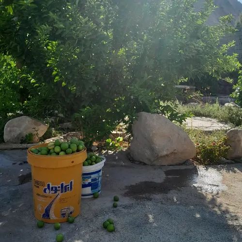 تصویر 4 - اقامتگاه بوم‌گردی کهن دژ در دره شهر