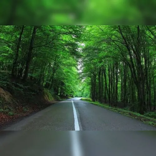 تصویر 2 - ویلا ویلا جنگلی دو خوابه عرفان در زیراب