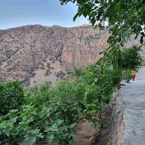 تصویر 4 - خانه خانه اجاره ای در پاوه