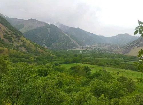 تصویر 18 - ویلا دلباز شیوند در ایذه