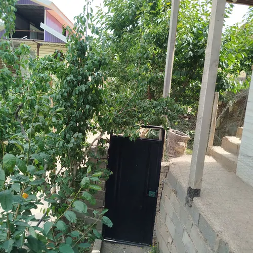 تصویر 13 - روستایی و عشایری سیالان در  الموت