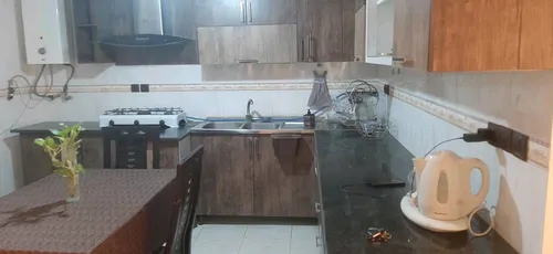 تصویر 4 - خانه آرنیکا (گل همیشه بهار) در شیراز
