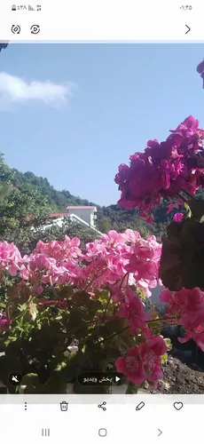 تصویر 17 - ویلا خونه صورتی در  آستارا