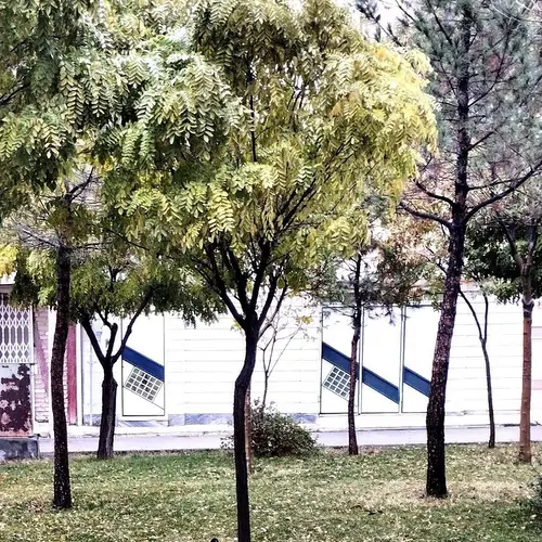 تصویر 20 - خانه ویلایی پردیس (طبقه اول) در  بروجرد