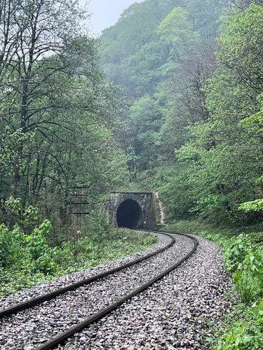 تصویر 21 - آپارتمان بوستان در شیرگاه