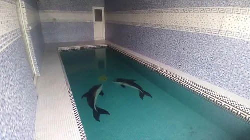 تصویر 2 - ویلا استخردار آبگرم مرجان با بیلیارد در  نمک آبرود