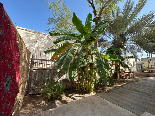 تصویر 44 - ویلا باغ استوایی عمارت چند درخت در هرمز