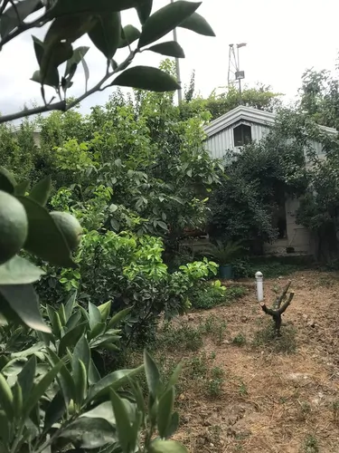 تصویر 4 - ویلا باغچه سبز در بهشهر