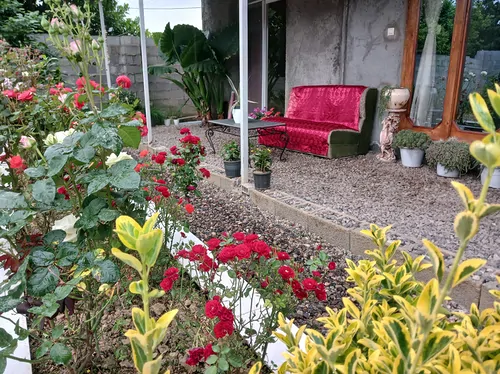 تصویر 14 - ویلا سرای پدری  در  صومعه‌سرا