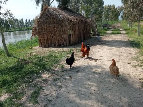 تصویر 12 - ویلا تیلاب با فوتبال دستی در خلیل شهر