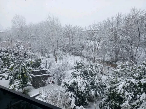 تصویر 18 - کلبه مهرا (۲) در سوادکوه