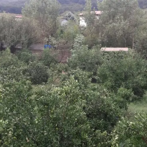 تصویر 3 - ویلا شیدایی در ساری