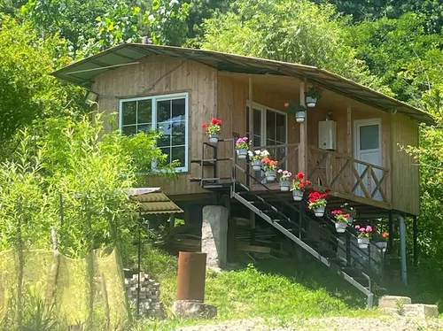 تصویر 11 - کلبه چوبی میثم در  ماسال