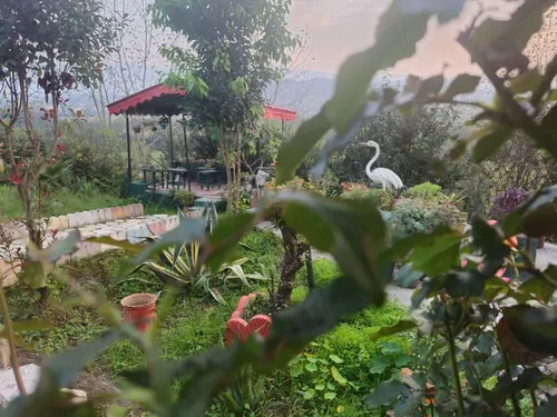 تصویر 21 - ویلا نیلوفر آبی در لنگرود