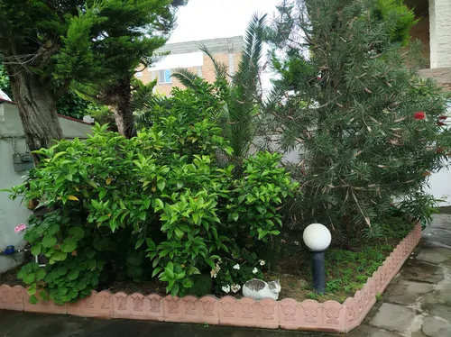 تصویر 14 - ویلا دوبلکس نوری در محمودآباد
