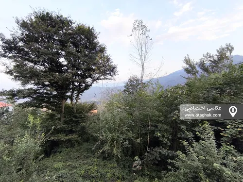 تصویر 11 - ویلا امیر محمد در سوادکوه