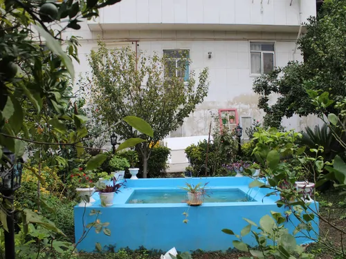 تصویر 11 - ویلا باغ سهیل (بام سبز) در  لاهیجان