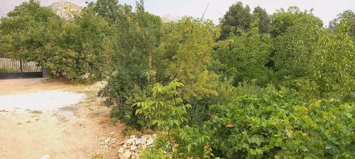 تصویر 5 - ویلا اقامتگاه محمدحسینیان در دنا
