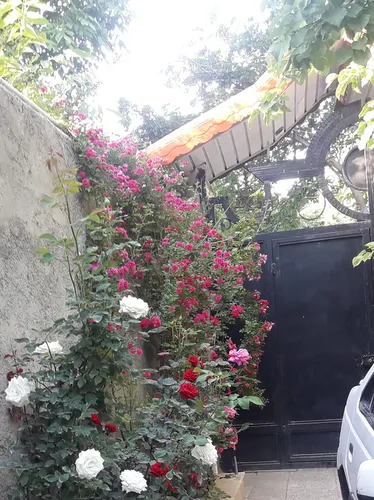 تصویر 11 - ویلا باغ قاصدک  در  ملارد 