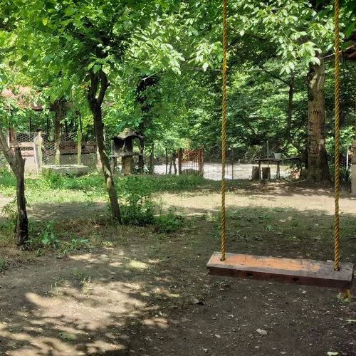 تصویر 36 - کلبه چوبی‌ میربلوک کنار رودخانه در  ماسال