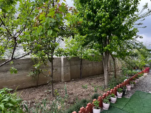 تصویر 27 - ویلا جنگلی مقتدایی در  زیراب