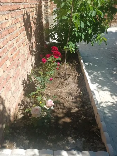تصویر 12 - خانه رستمی در  اردبیل